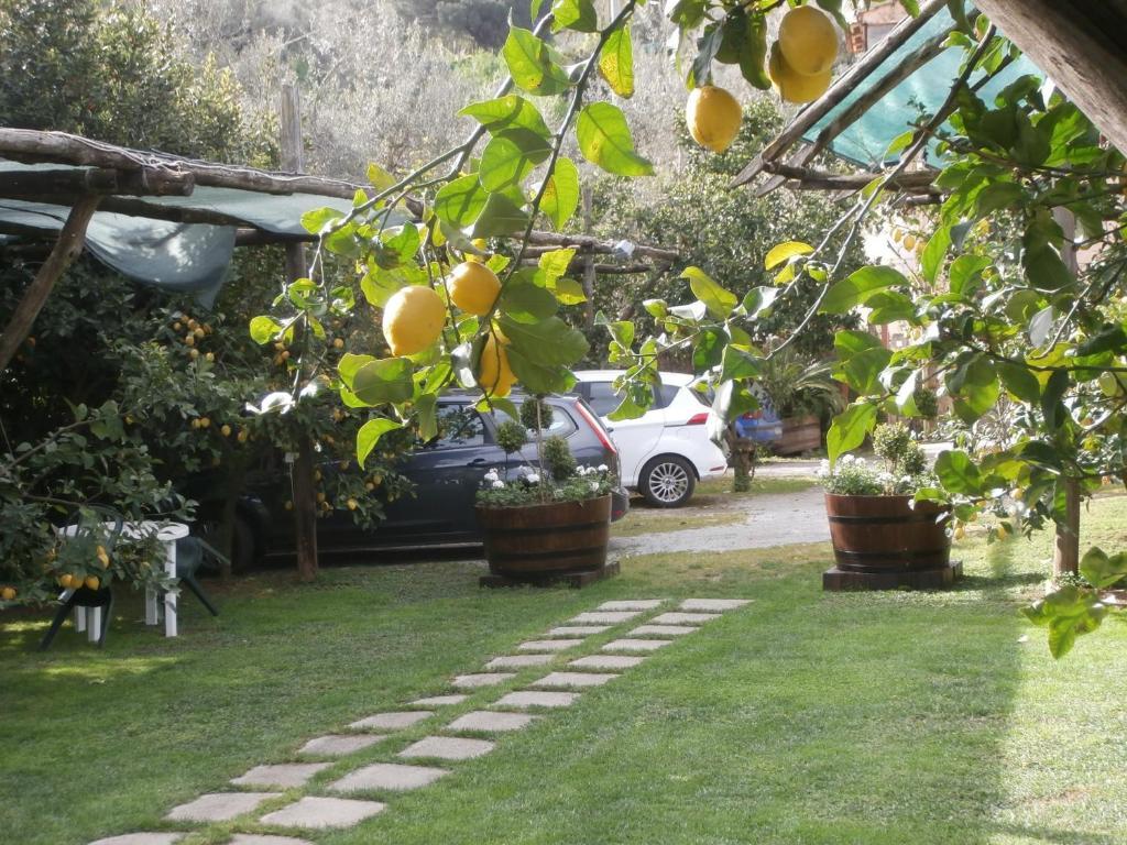 Villa De Angelis Sorrento Exteriér fotografie